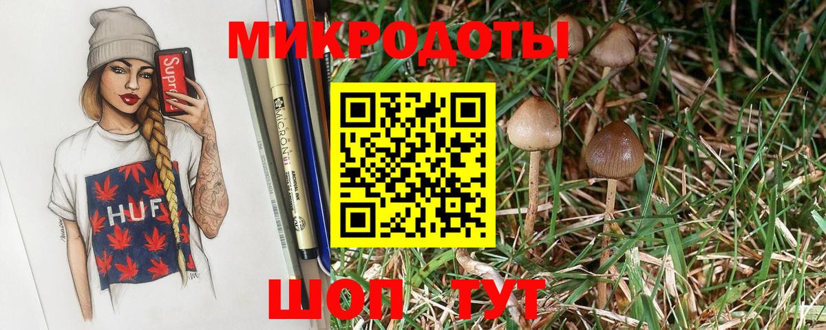 Галлюциногенные грибы прущие грибы Ленинск-Кузнецкий
