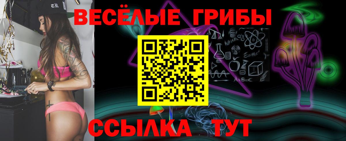 Галлюциногенные грибы Psilocybine cubensis  наркотики  Ленинск-Кузнецкий  Вход с VPN 